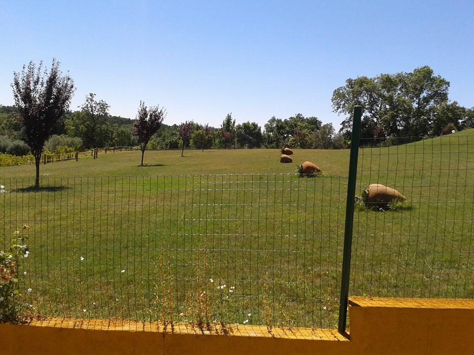 Vila Quinta Da Mina Monsanto Exteriér fotografie