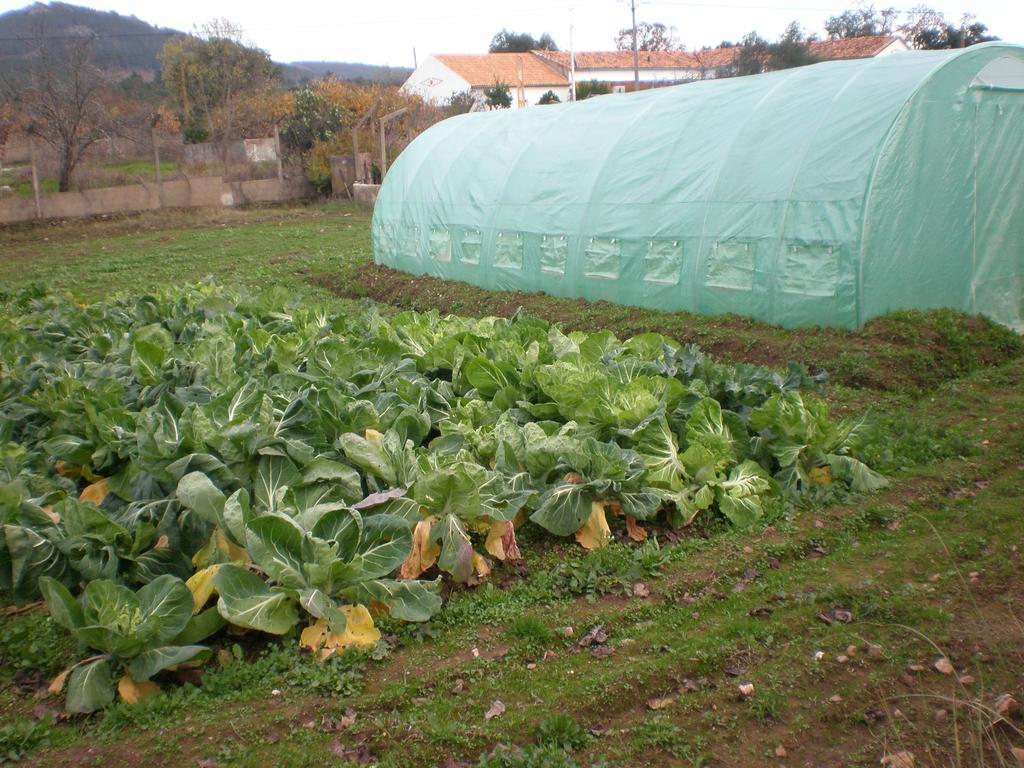 Vila Quinta Da Mina Monsanto Exteriér fotografie